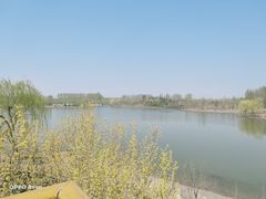 -东郊湿地公园