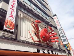 -蟹道乐(道顿堀本店)