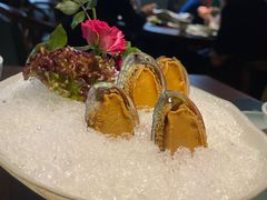 手工冰镇鲍鱼-木棉·醉心粤味(COCO Park店)