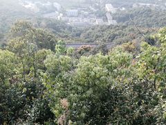 -杭州半山国家森林公园