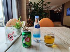 -上海圣淘沙万怡酒店