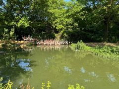 -上海野生动物园