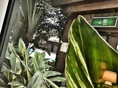 -澳门喜来登大酒店