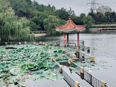 -北岭山森林公园