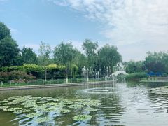 -康庄公园