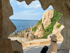 -养马岛旅游度假区