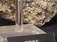 -烟台自然博物馆