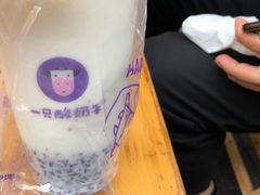 -一只酸奶牛(八一路店)