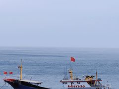 -阿勇海鲜排档(莲花路1号店)