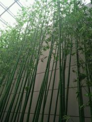 点击看大图 -北京怡德医院妇儿健康中心