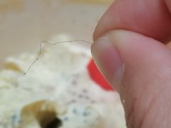 -DQ·蛋糕·冰淇淋(鸿坤店)