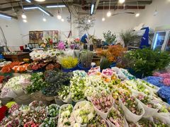 -双季花艺园艺市场(浦东店)