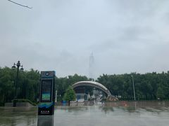 -武汉两江游览·夜游长江(汉口粤汉码头)