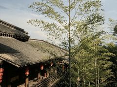 -大唐贡茶院