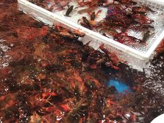-盒马鲜生(领丰汇店)