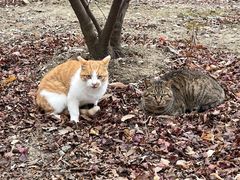 -江南大学(蠡湖校区)