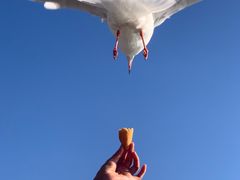 -昆明冠生园·蛋糕·面包(南强街店)