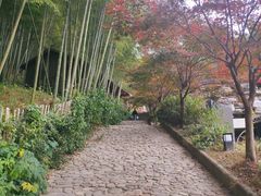 -宁波浙东大竹海景区