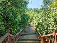 -云顶山风景区