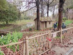 -昆山城市生态森林公园