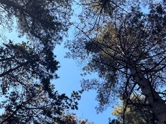 -帽儿山国家森林公园