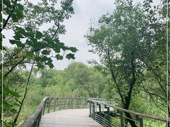 -西湖风景区-江洋畈生态公园