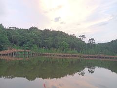 -神光山国家森林公园