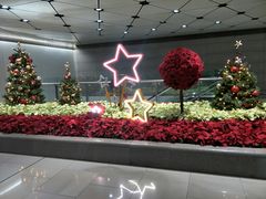 -香港国际机场-T2航站楼