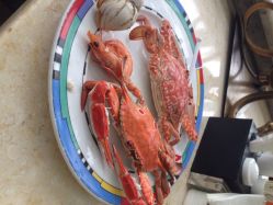 重庆阳光五洲大酒店阳光西餐厅-阳光五洲大酒店·宴会厅