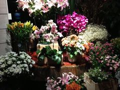 iphone_upload_pic-春暖花开(西溪店)