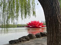 -洛阳市隋唐城遗址植物园