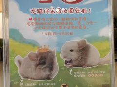 -龙猫仔乐园(惠福东路店)