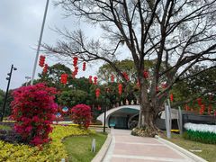-云溪植物园
