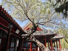 -莲池书院博物馆