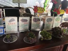 -马陆小张葡萄园农家乐