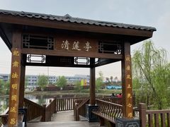 -空港花田景区