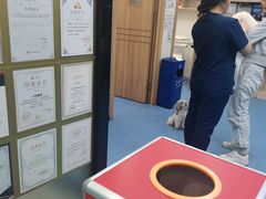-博特宠物医院24h犬猫全科.骨科·异宠