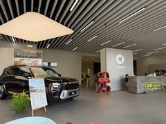 -上海浦东smart汽车全功能店(金桥店)