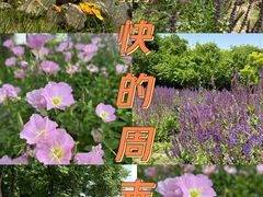 -北龙湖湿地公园