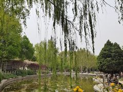 -康庄公园