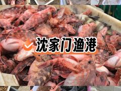-沈家门渔港