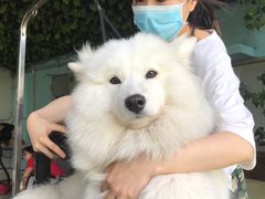 -汪说喵讲宠物乐园宠物酒店(红星美凯龙店)