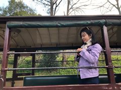 -普芬比利蒸汽火车