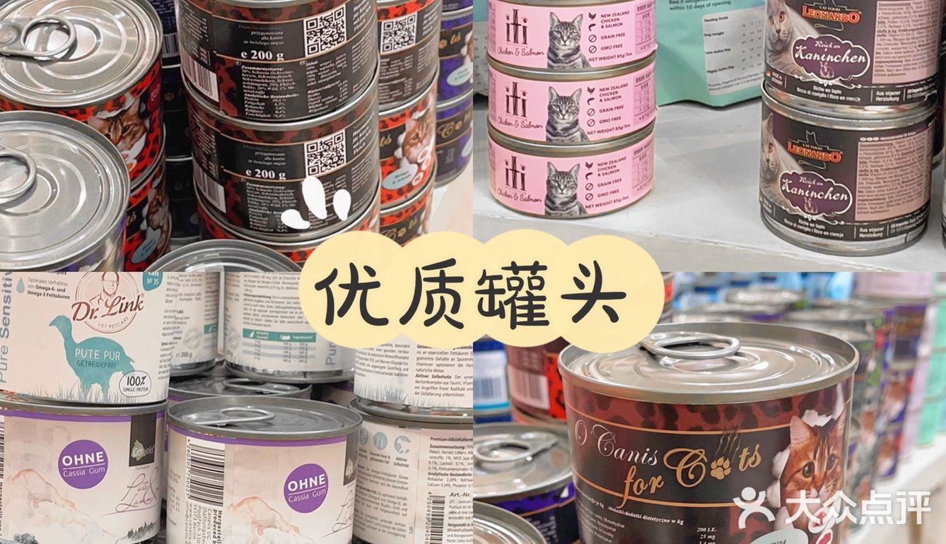 重庆探店丨重庆宠物店天花板罐头还五折❗🐶