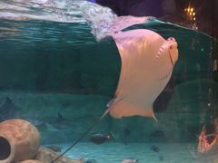 -沈阳海洋探索中心