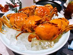 -粤凤佬