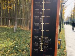 -唐城墙遗址公园