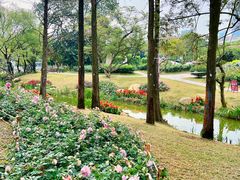 -人民公园(罗湖区)