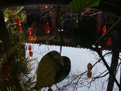 -自贡市盐业历史博物馆