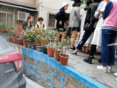 -猫街饭团(顶澳仔猫街店)